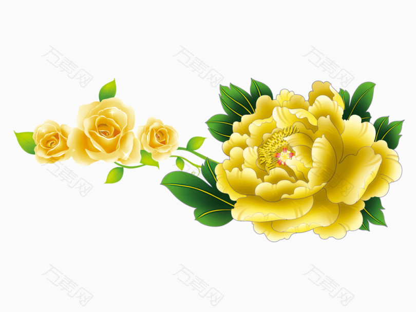 牡丹鲜花矢量图
