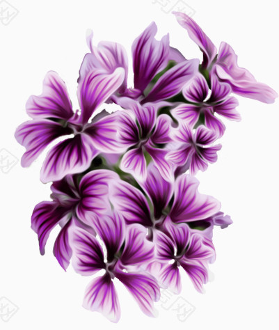 万素网为您提供免抠元素紫色渐变浪漫花朵下载,该素材编号:3501272