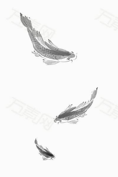 中国水墨手绘鱼