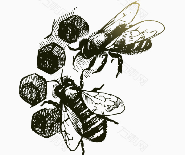 手绘蜜蜂