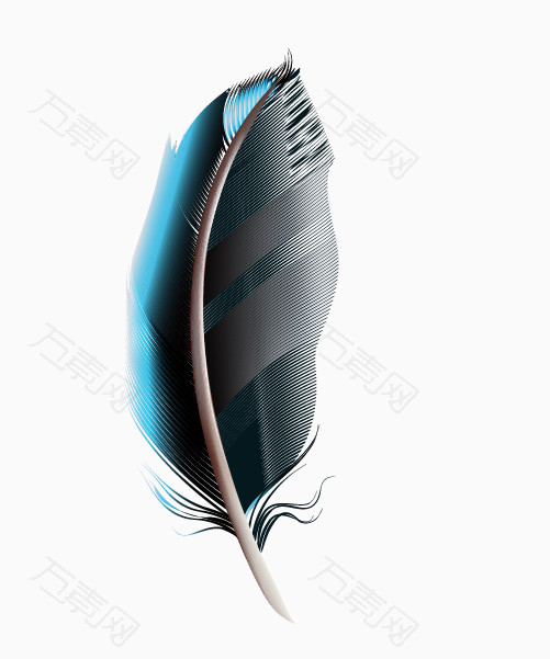 免抠动物羽毛素材