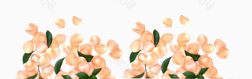 花瓣