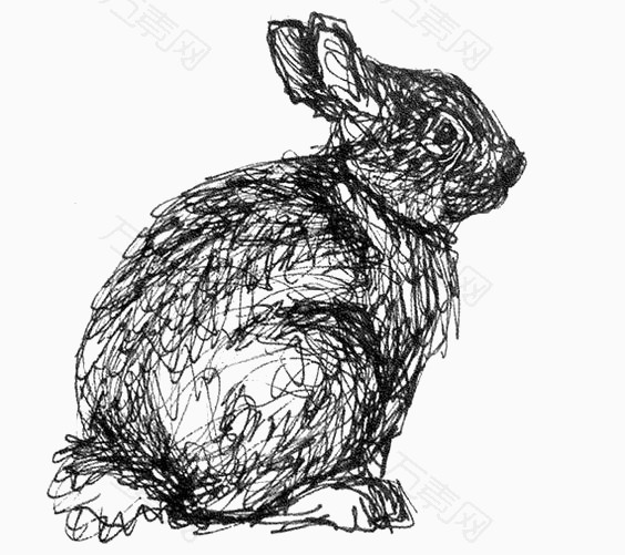 黑白相间的兔子图片图片