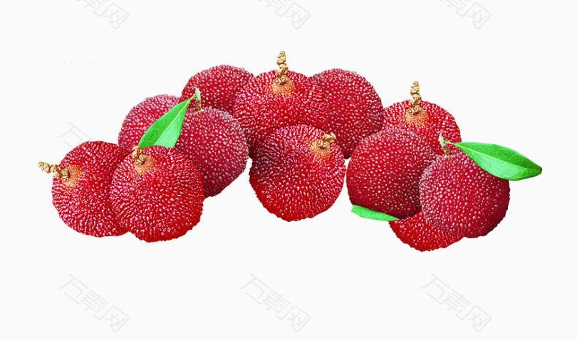 美味的杨梅素材图片