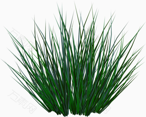 绿色草丛免抠元素图片-元素素材3204359-万素网