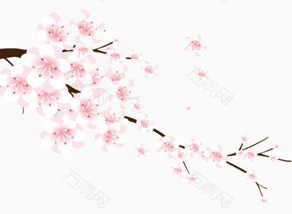 卡通粉色白色桃花花枝