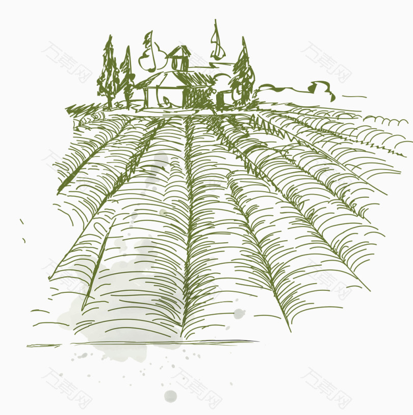田间种植图绘制图片
