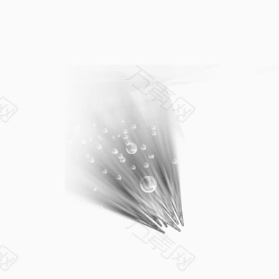 气泡