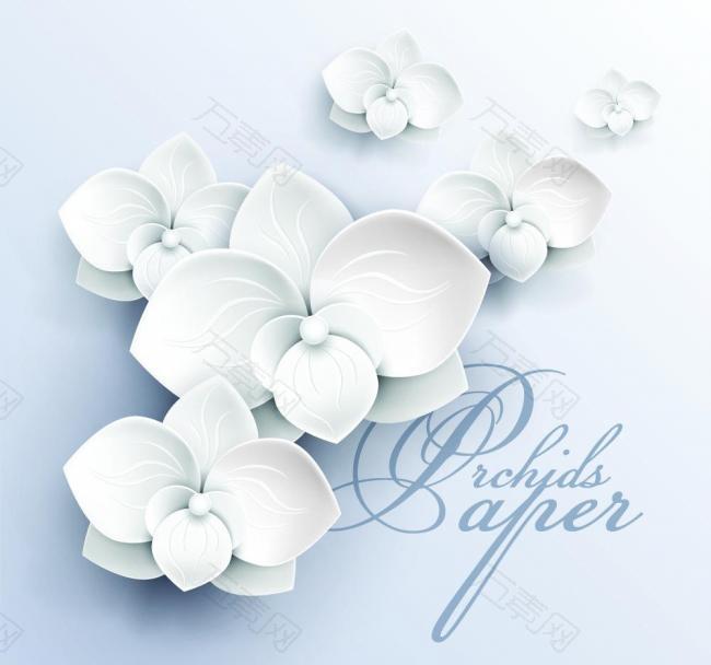 3d花纹底纹纸张图片