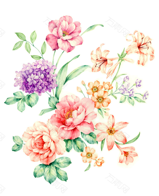 手绘花