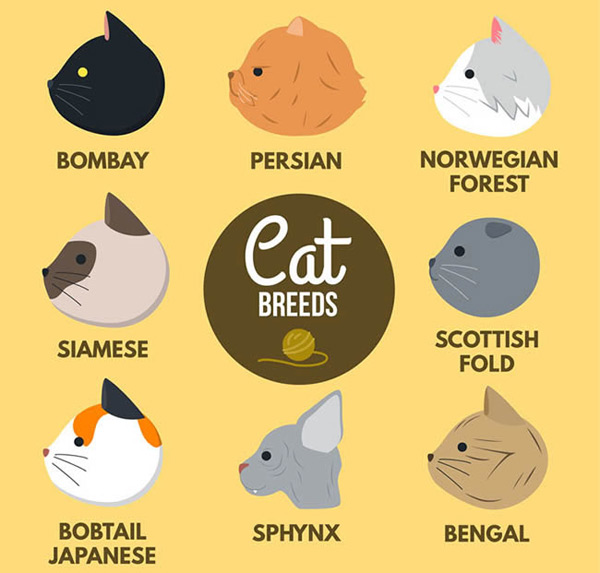 卡通猫耳 素材 免费卡通猫耳图片素材 卡通猫耳素材大全 万素网