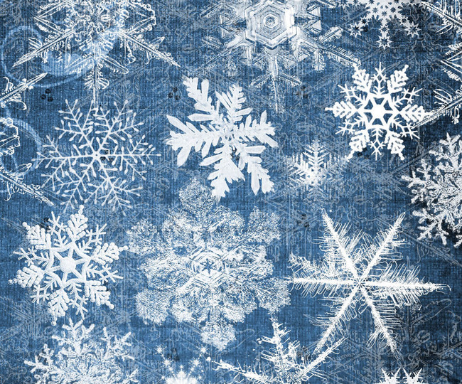 冬季冰冻特效雪花形状笔刷