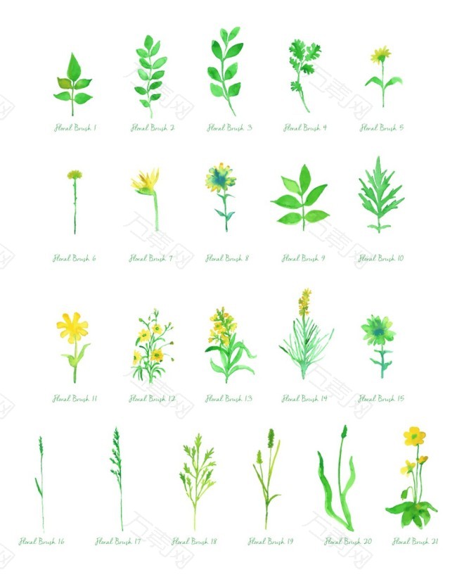 绿色藤叶效果PS笔刷