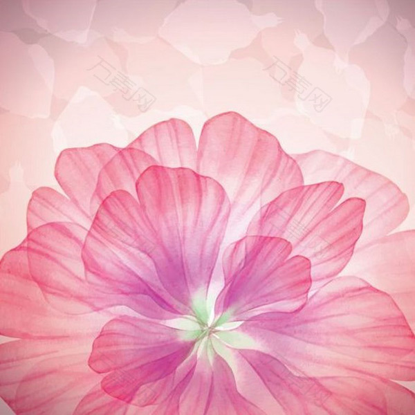 粉色花瓣背景