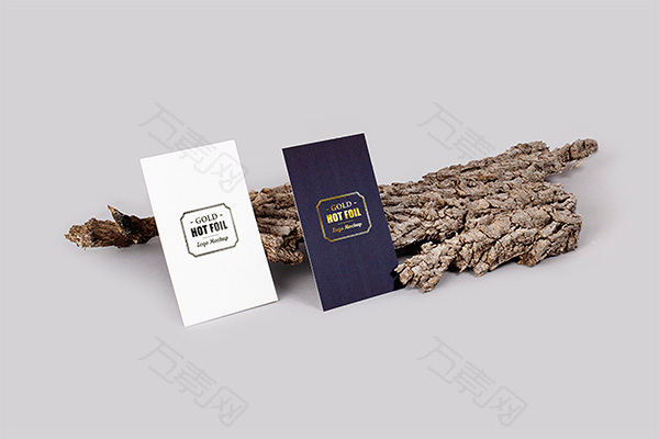 简约名片样机